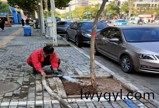 七(qi)裏(li)河區(qū)園林綠化所全(quan)麵(mian)開展鞦季(ji)苗(miao)木補(bǔ)栽工(gong)作(zuo)